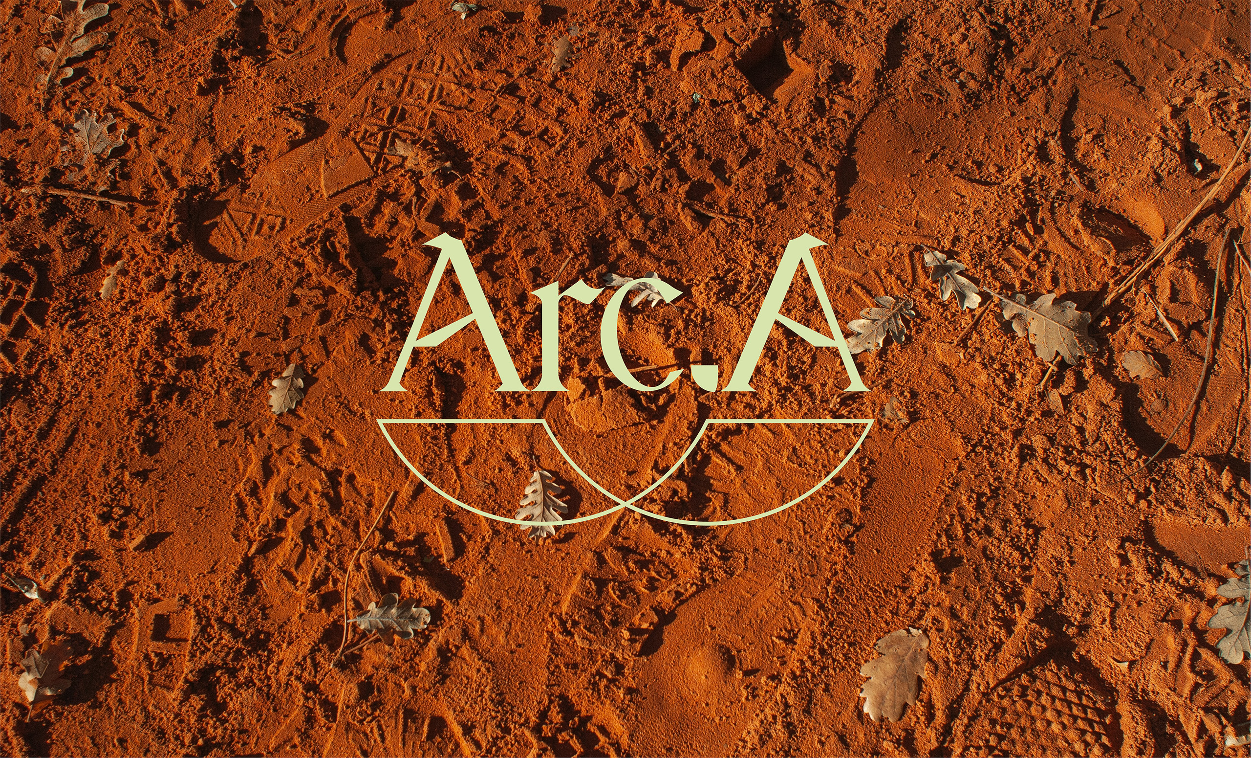 01-arca-logo